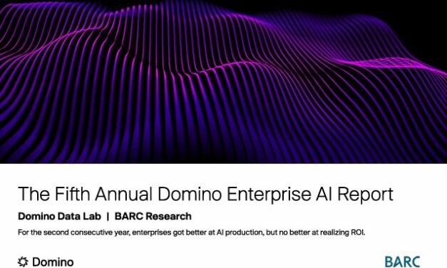 The Fifth Annual Domino Enterprise AI Report