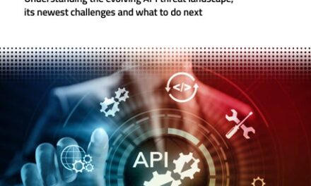 CISO’s Guide API Security
