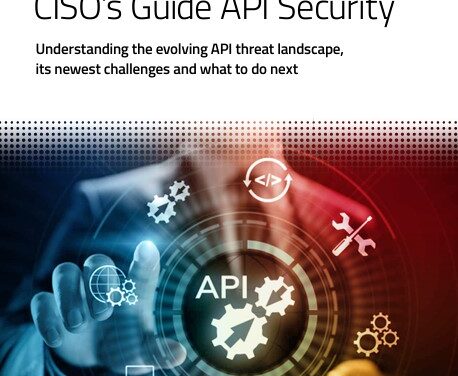 CISO’s Guide API Security